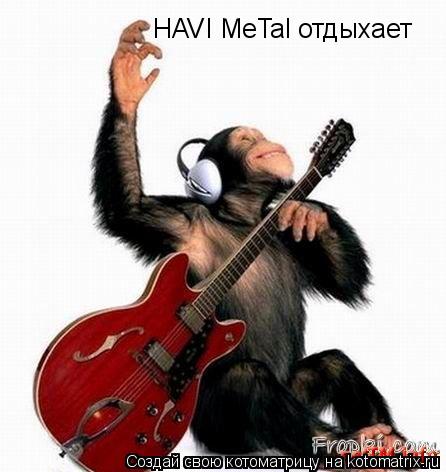 HAVI MeTal отдыхает... Котоматрица: HAVI MeTal отдыхает