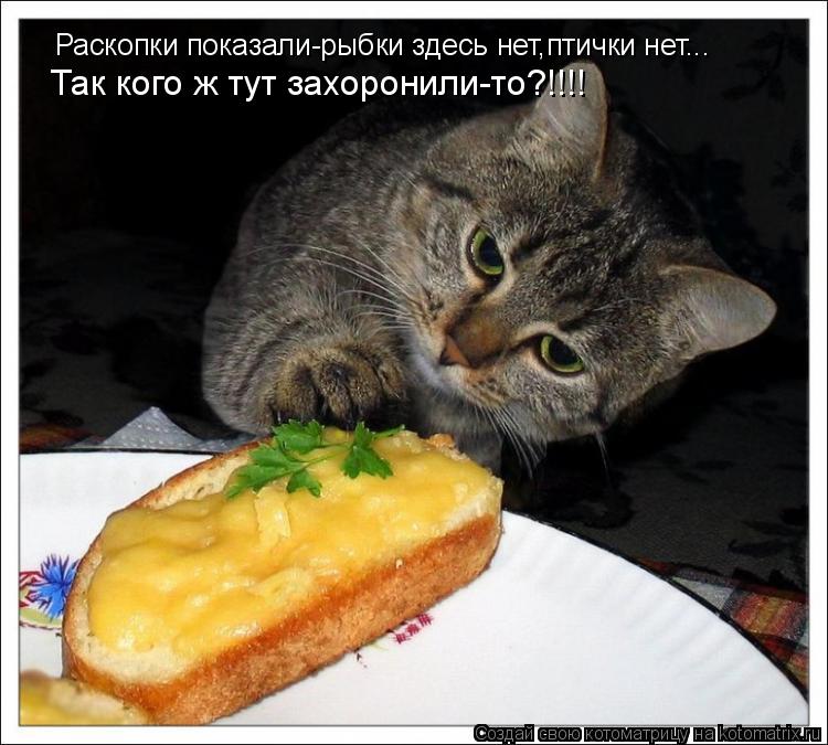 Раскопки показали-рыбки здесь нет,птички нет... Так кого ж тут захоронили-то?!!!!... Котоматрица: Раскопки показали-рыбки здесь нет,птички нет... Так кого ж тут захоронили-то?!!!!