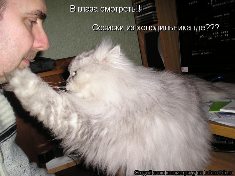В глаза смотреть!!! Сосиски из холодильника где???... Котоматрица: В глаза смотреть!!! Сосиски из холодильника где???