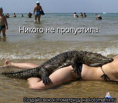 Никого не пропустила.... Котоматрица: Никого не пропустила.
