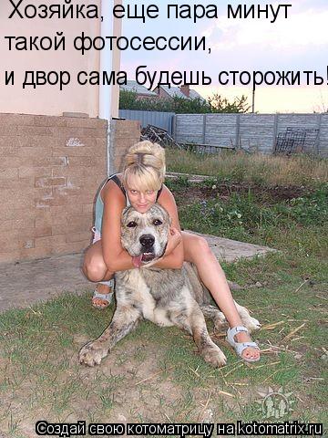 Хозяйка, еще пара минут такой фотосессии, и двор сама будешь сторожить!... Котоматрица: Хозяйка, еще пара минут такой фотосессии, и двор сама будешь сторожить!