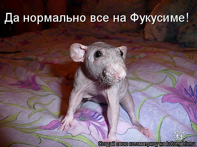 Да нормально все на Фукусиме!... Котоматрица: Да нормально все на Фукусиме!