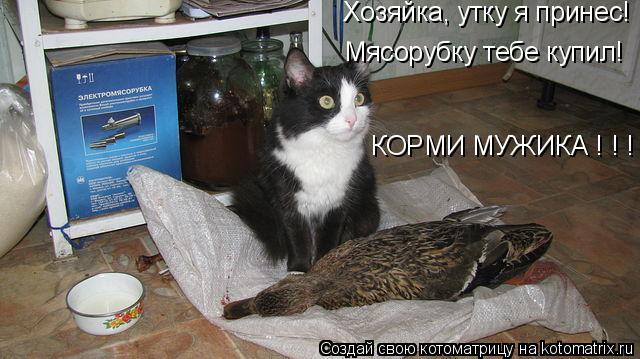 Хозяйка, утку я принес! Мясорубку тебе купил! КОРМИ МУЖИКА ! ! !... Котоматрица: Хозяйка, утку я принес! Мясорубку тебе купил! КОРМИ МУЖИКА ! ! !