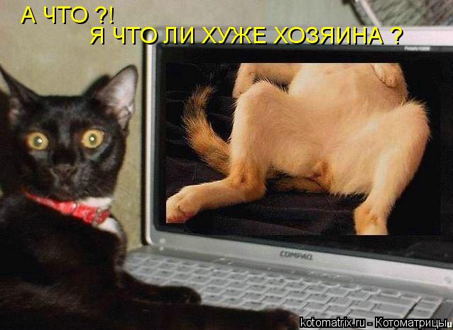 А ЧТО Я ХУЖЕ ХОЗЯЕНА А ЧТО ?! Я ЧТО ЛИ ХУЖЕ ХОЗЯИНА Я ЧТО ЛИ ХУЖЕ ХОЗЯИНА ?... Котоматрица: А ЧТО Я ХУЖЕ ХОЗЯЕНА А ЧТО ?! Я ЧТО ЛИ ХУЖЕ ХОЗЯИНА Я ЧТО ЛИ ХУЖЕ ХОЗЯИНА ?