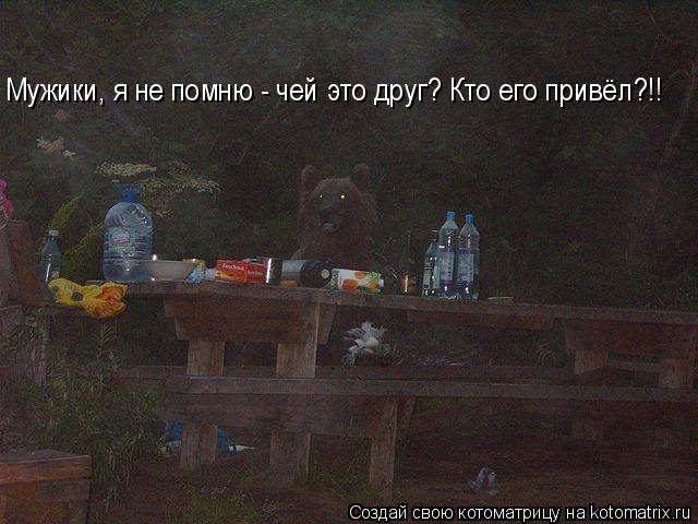 Мужики, я не помню - чей это друг? Кто его привёл?!!... Котоматрица: Мужики, я не помню - чей это друг? Кто его привёл?!!