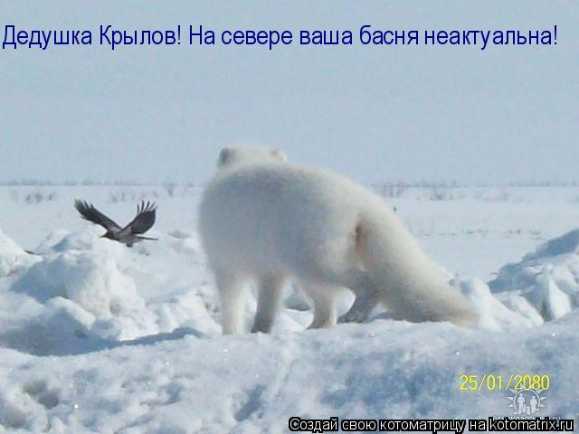 Котоматрица: Дедушка Крылов! На севере ваша басня неактуальна!