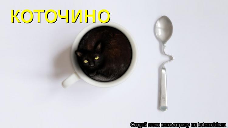 коточино... Котоматрица: коточино