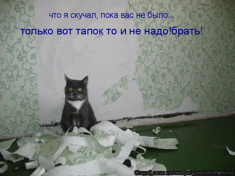 что я скучал, пока вас не было... только вот тапок то и не надо!брать!... Котоматрица: что я скучал, пока вас не было... только вот тапок то и не надо!брать!