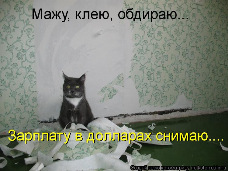 Мажу, клею, обдираю... Зарплату в долларах снимаю....... Котоматрица: Мажу, клею, обдираю... Зарплату в долларах снимаю....