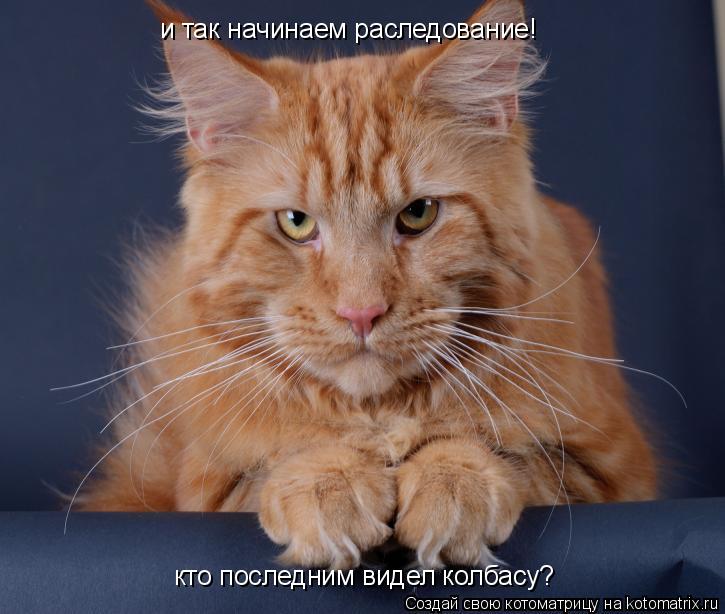 и так начинаем раследование! кто последним видел колбасу?... Котоматрица: и так начинаем раследование! кто последним видел колбасу?