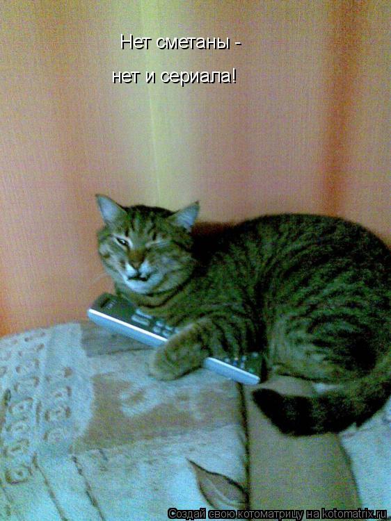 Нет сметаны - нет и сериала!... Котоматрица: Нет сметаны - нет и сериала!