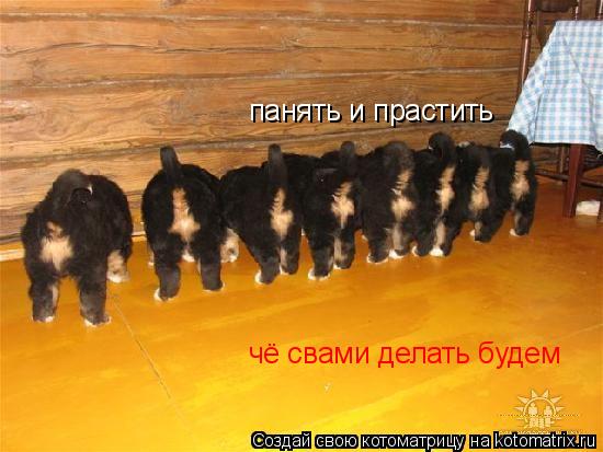 Котоматрица: панять и прастить панять и прастить чё свами делать будем чё свами делать будем