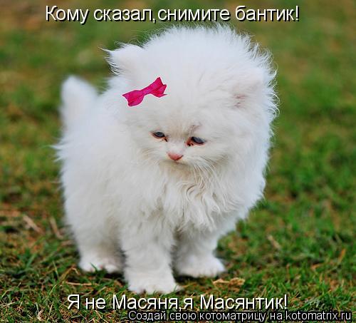 Кому сказал,снимите бантик! Я не Масяня,я Масянтик!... Котоматрица: Кому сказал,снимите бантик! Я не Масяня,я Масянтик!