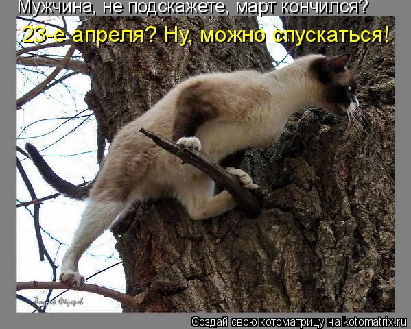 Котоматрица: Мужчина, не подскажете, март кончился? 23-е апреля? Ну, можно спускаться!