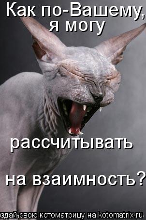 Котоматрица: Как по-Вашему,  я могу рассчитывать  на взаимность?