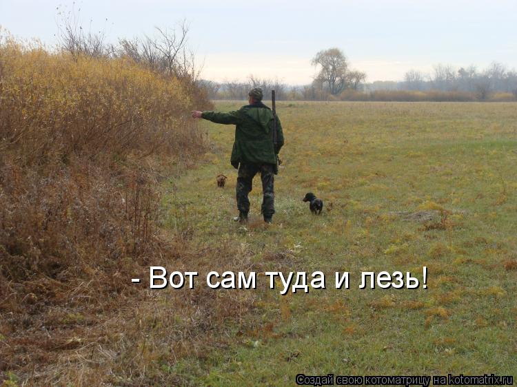 Котоматрица: - Вот сам туда и лезь!