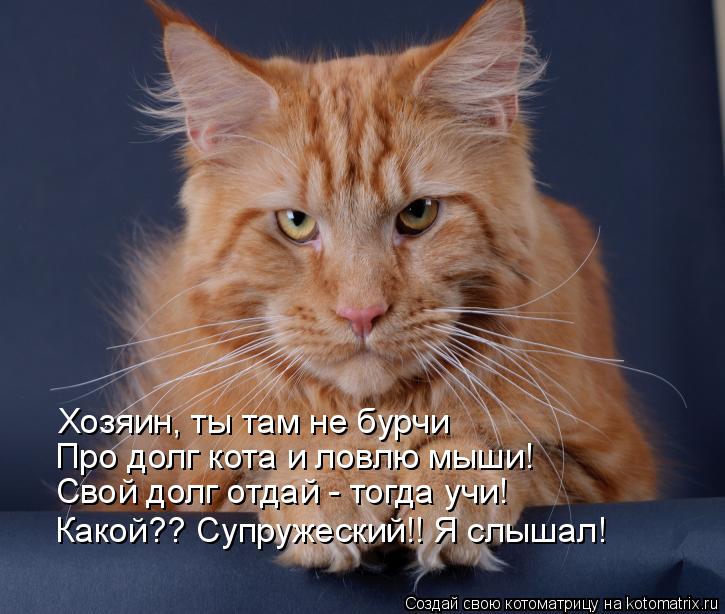Хозяин, ты там не бурчи Про долг кота и ловлю мыши! Свой долг отдай - тогда учи! Какой?? Супружеский!... Котоматрица: Хозяин, ты там не бурчи Про долг кота и ловлю мыши! Свой долг отдай - тогда учи! Какой?? Супружеский!! Я слышал!