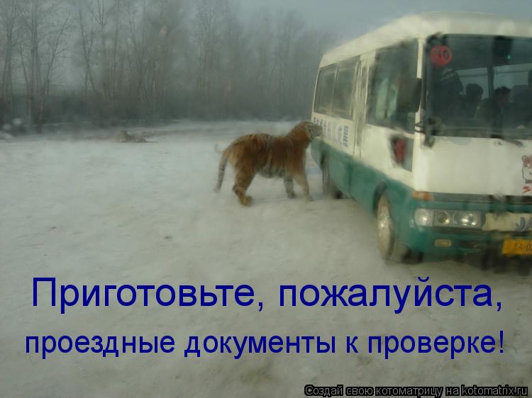 Котоматрица: Приготовьте, пожалуйста,  проездные документы к проверке!