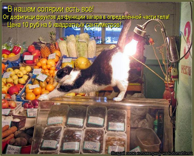 Котоматрица: В нашем солярии есть всё! От дофигищи фруктов до функции загара в определённой части тела! Цена 10 руб на 5 квадратных сантиметров!