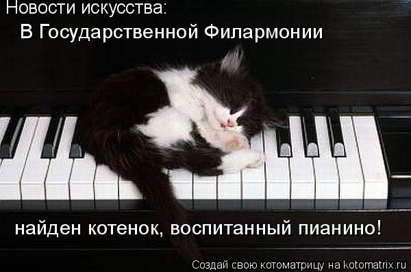 Котоматрица: Новости искусства: В Государственной Филармонии найден котенок, воспитанный пианино!