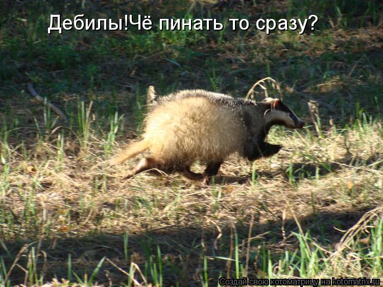 Котоматрица: Дебилы!Чё пинать то сразу?