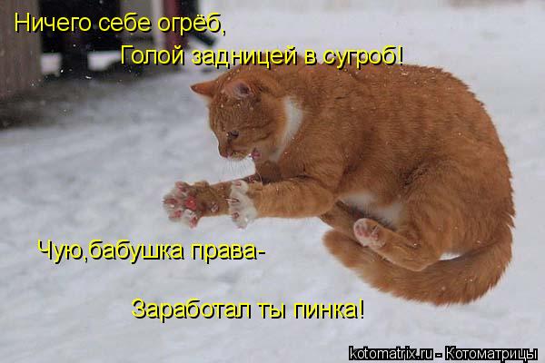 Котоматрица: Ничего себе огрёб,     Голой задницей в сугроб!    Чую,бабушка права-     Заработал ты пинка!