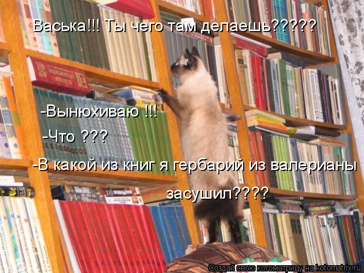 Васька!!! Ты чего там делаешь????? засушил???? -Вынюхиваю !!! -Что ??? -В какой из книг я гербарий из... Котоматрица: Васька!!! Ты чего там делаешь????? засушил???? -Вынюхиваю !!! -Что ??? -В какой из книг я гербарий из валерианы