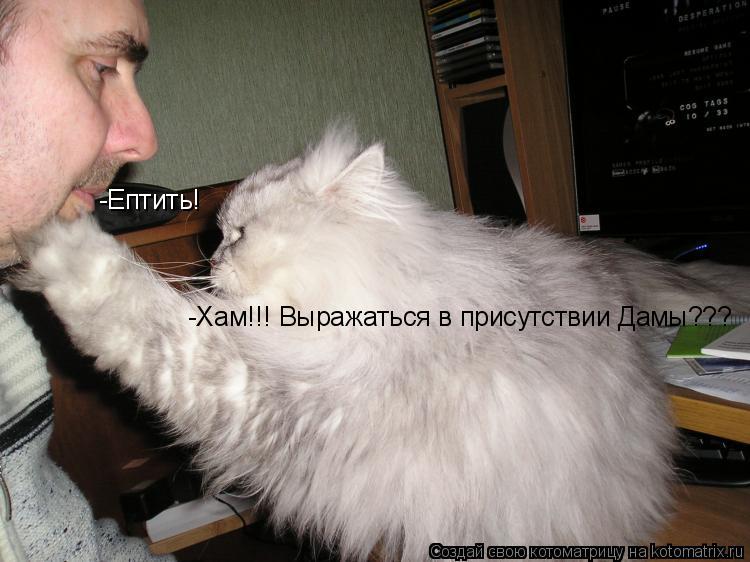 Котоматрица: -Хам!!! Выражаться в присутствии Дамы??? -Ептить!