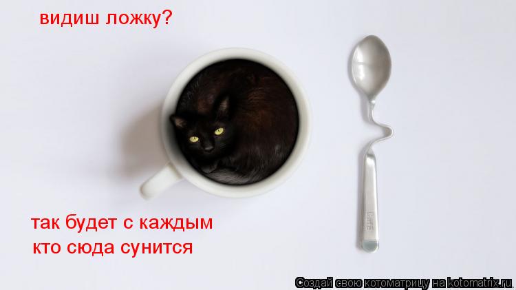 Котоматрица: видиш ложку? так будет с каждым  кто сюда сунится