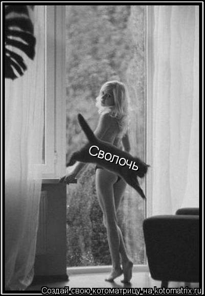Котоматрица: Сволочь