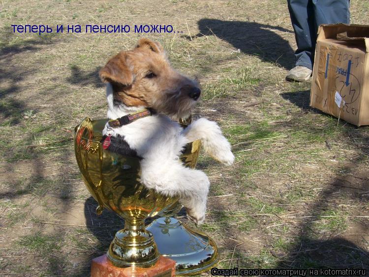 теперь и на пенсию можно...... Котоматрица: теперь и на пенсию можно...