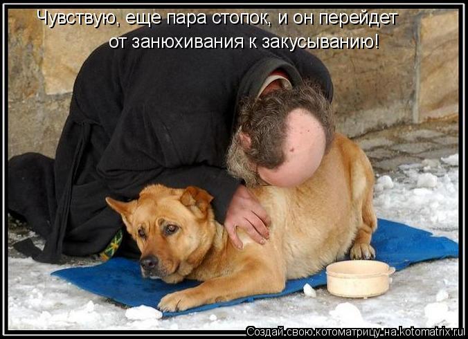 Котоматрица: Чувствую, еще пара стопок, и он перейдет  от занюхивания к закусыванию!