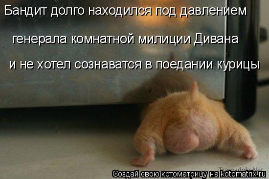 Бандит долго находился под давлением генерала комнатной милиции Дивана и не хотел сознаватся в поедан... Котоматрица: Бандит долго находился под давлением генерала комнатной милиции Дивана и не хотел сознаватся в поедании курицы