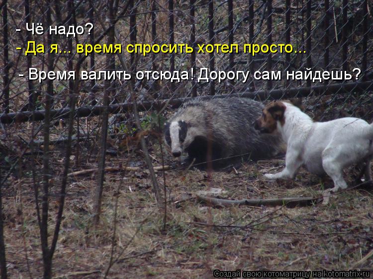 - Чё надо? - Да я... время спросить хотел просто... - Время валить отсюда! Дорогу сам найдешь?... Котоматрица: - Чё надо? - Да я... время спросить хотел просто... - Время валить отсюда! Дорогу сам найдешь?
