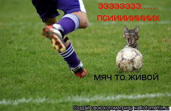ээээээээ...... псиииииииих мяч то живой... Котоматрица: ээээээээ...... псиииииииих мяч то живой