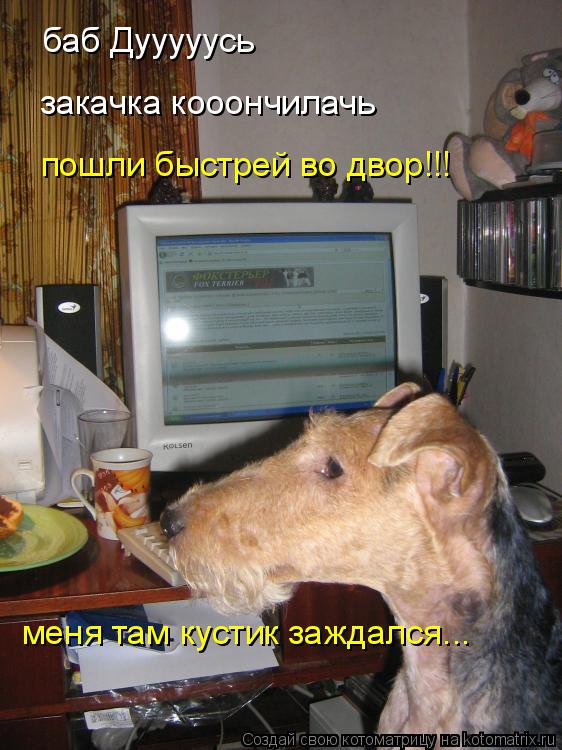пошли быстрей во двор!!! меня там кустик заждался... баб Дууууусь закачка кооончилачь... Котоматрица: пошли быстрей во двор!!! меня там кустик заждался... баб Дууууусь закачка кооончилачь