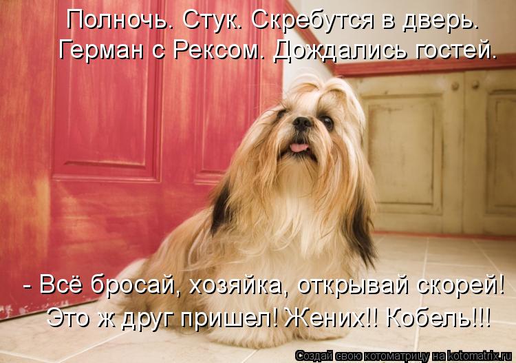 Полночь. Стук. Скребутся в дверь. Герман с Рексом. Дождались гостей. - Всё бросай, хозяйка, открывай ... Котоматрица: Полночь. Стук. Скребутся в дверь. Герман с Рексом. Дождались гостей. - Всё бросай, хозяйка, открывай скорей! Это ж друг пришел! Жених!! Кобель!!!