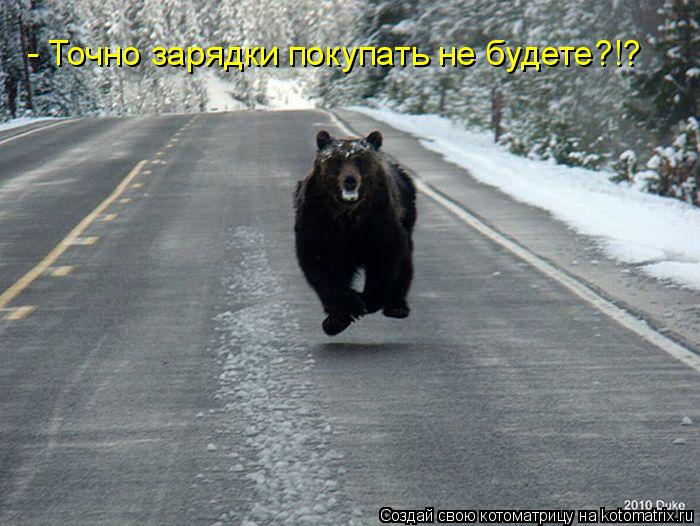 Котоматрица: - Точно зарядки покупать не будете?!?