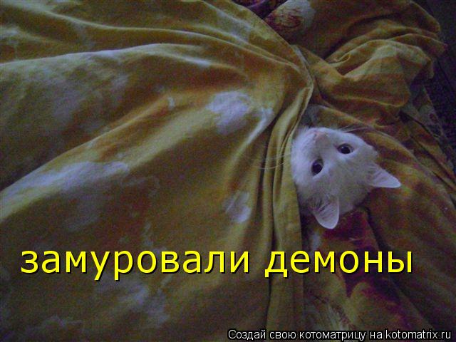 Котоматрица: замуровали демоны
