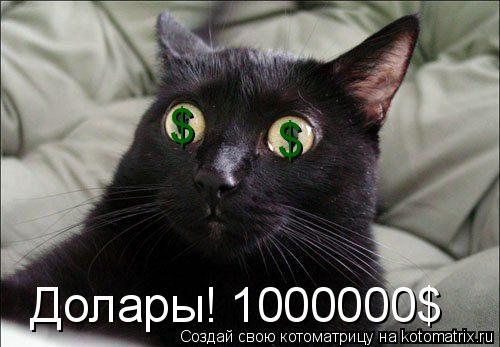 Котоматрица: $ $ Долары! 1000000$