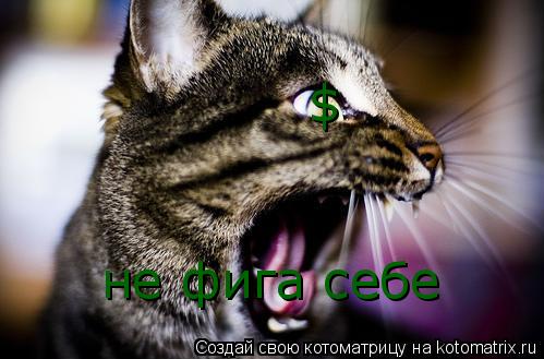 Котоматрица: $ не фига себе