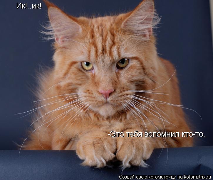 Котоматрица: Ик!..ик! -Это тебя вспомнил кто-то.