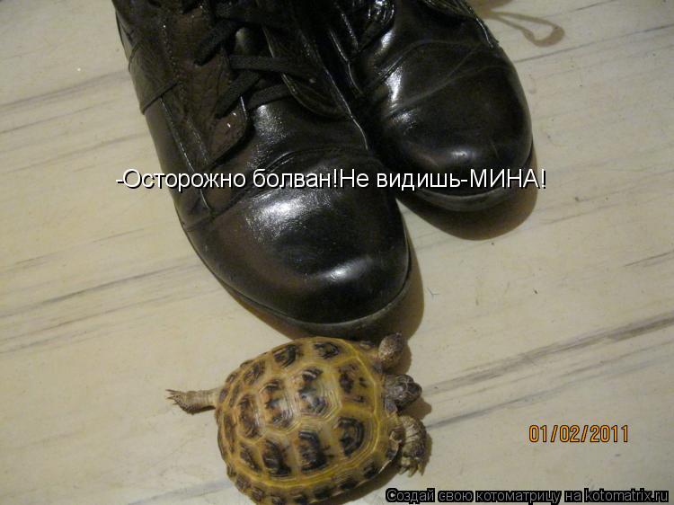 -Осторожно болван!Не видишь-МИНА!... Котоматрица: -Осторожно болван!Не видишь-МИНА!