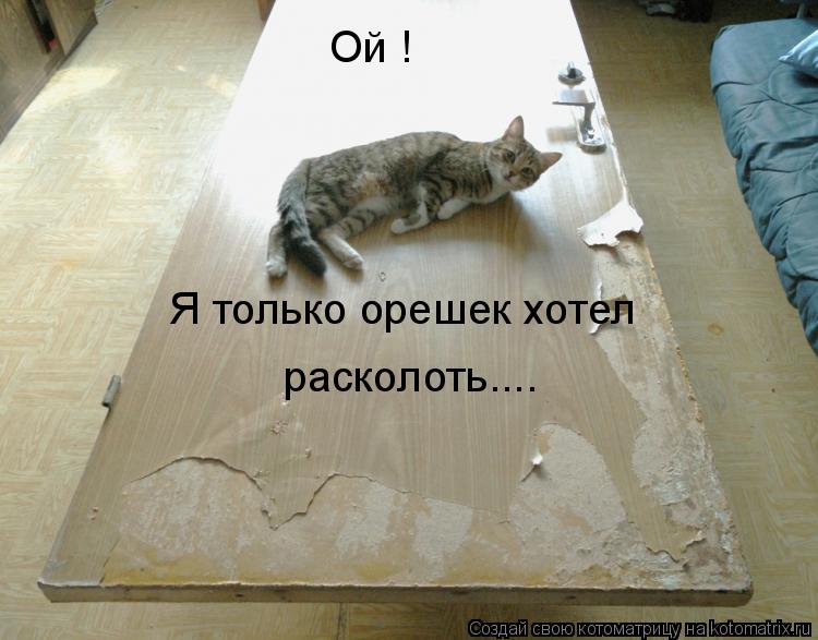 Ой ! Я только орешек хотел расколоть....... Котоматрица: Ой ! Я только орешек хотел расколоть....