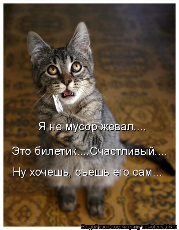 Это билетик....Счастливый.... Я не мусор жевал.... Ну хочешь, съешь его сам...... Котоматрица: Это билетик....Счастливый.... Я не мусор жевал.... Ну хочешь, съешь его сам...