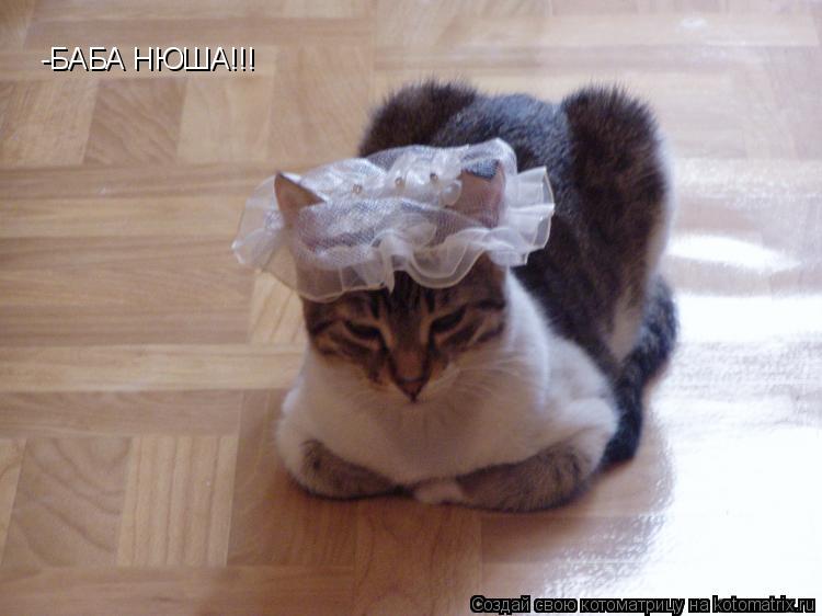 -БАБА НЮША!!!... Котоматрица: -БАБА НЮША!!!
