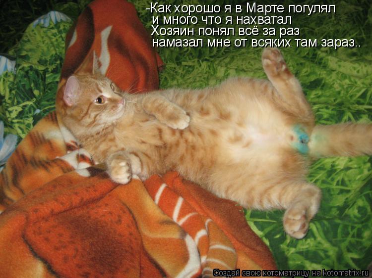 -Как хорошо я в Марте погулял и много что я нахватал Хозяин понял всё за раз намазал мне от всяких та... Котоматрица: -Как хорошо я в Марте погулял и много что я нахватал Хозяин понял всё за раз намазал мне от всяких там зараз..