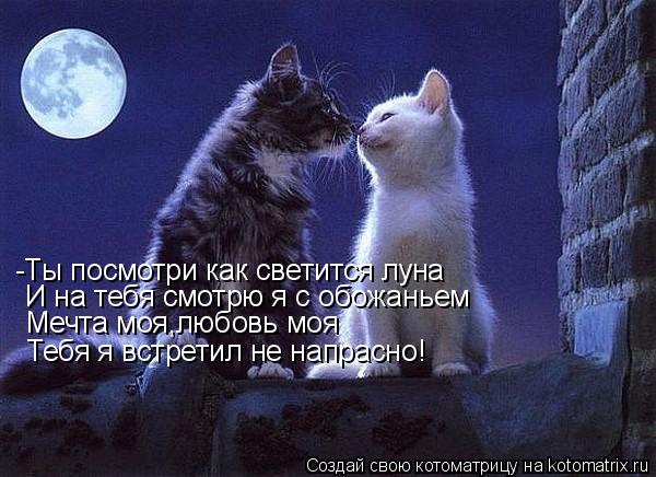 -Ты посмотри как светится луна И на тебя смотрю я с обожаньем Мечта моя,любовь моя Тебя я встретил не... Котоматрица: -Ты посмотри как светится луна И на тебя смотрю я с обожаньем Мечта моя,любовь моя Тебя я встретил не напрасно!