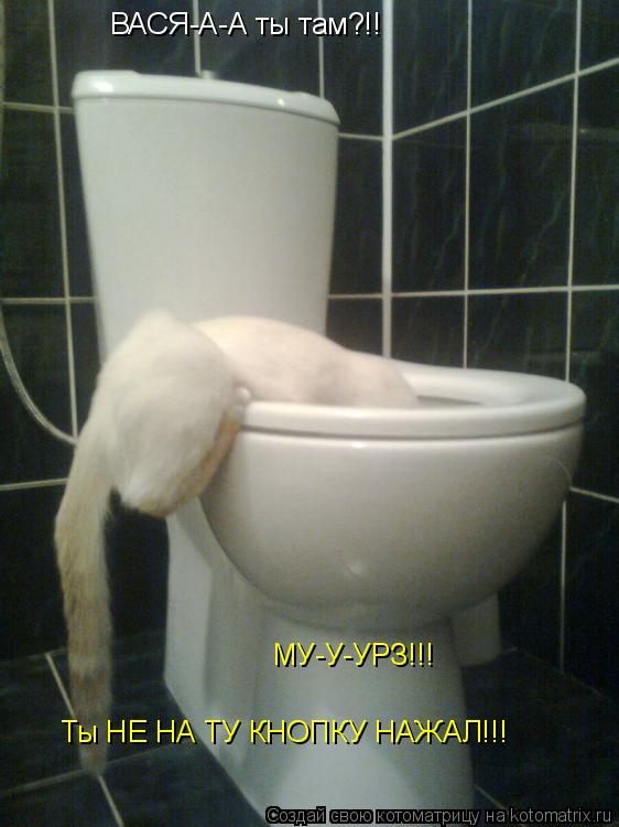 ВАСЯ-А-А ты там?!! МУ-У-УРЗ!!! Ты НЕ НА ТУ КНОПКУ НАЖАЛ!!!... Котоматрица: ВАСЯ-А-А ты там?!! МУ-У-УРЗ!!! Ты НЕ НА ТУ КНОПКУ НАЖАЛ!!!