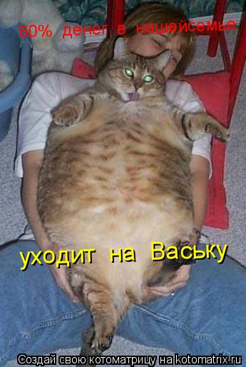 60% денег в нашейсемье уходит на Ваську... Котоматрица: 60% денег в нашейсемье уходит на Ваську